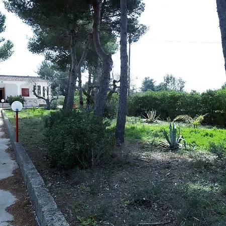 Giada Gallipoli